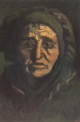 Vincent Van Gogh Head of a Peasant Woman with Dard Cap (nn014) Spain oil painting art